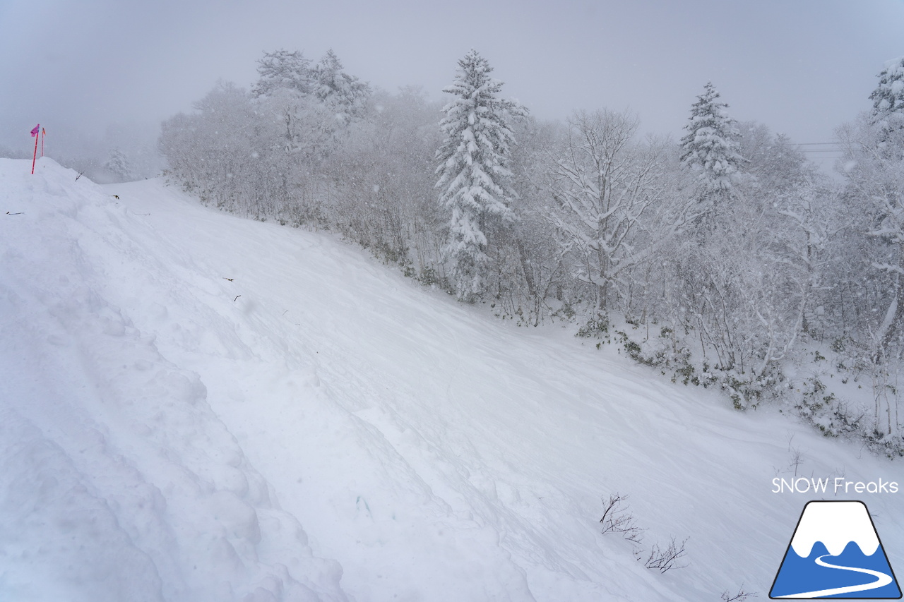 富良野スキー場｜たっぷりの『bonchi powder』が降り積ったゲレンデ…。富良野の雪は、ちょっとレベルが違います♪